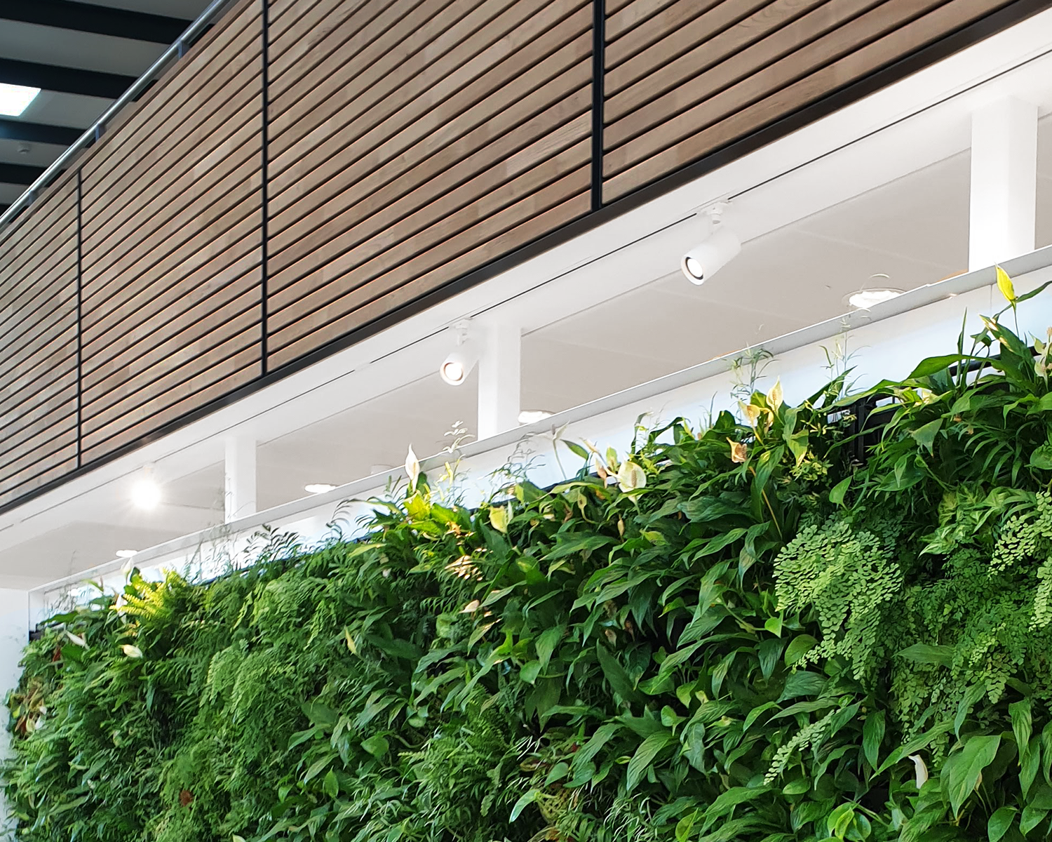 Arlico RHS Wisley Living Wall Track Spot Lighting