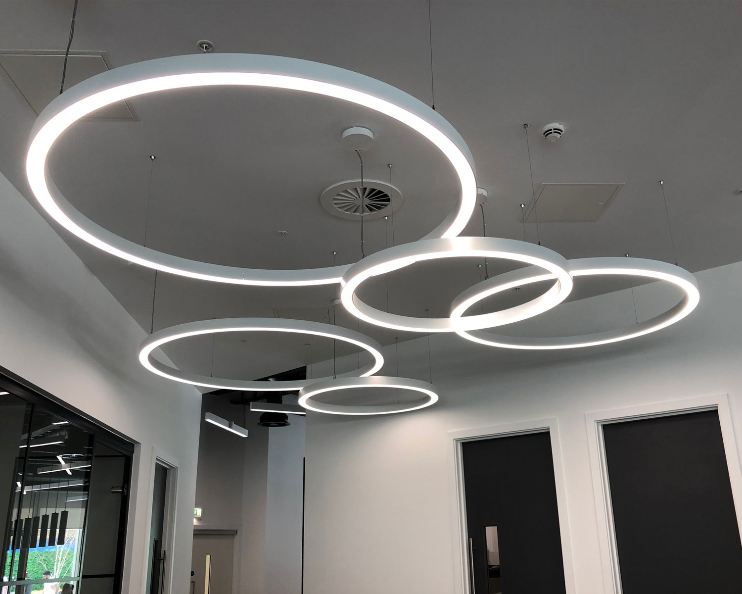 P1308 Leeds Office Lighting Supplier Arrangement Off Architectural Ring Hoop Pendant Lights